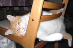 -半决赛先生维尼修斯，当闪耀的匕首刺入欧冠心脏