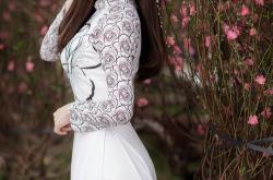 开云体育入口-新星撕裂夜空，切特连斩11分击沉独行侠，东契奇三双成空响