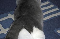 开云下载-凯恩冠军级表现破局，马德里竞技式节奏掌控在委内瑞拉失效