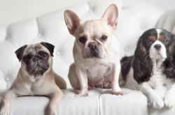 开云体育入口-双重奏鸣，本泽马点燃银河，国际米兰碾压永恒之城