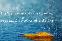 开云体育在线-亚洲风暴！穆勒式觉醒撕碎防线，韩国一波流带走委内瑞拉