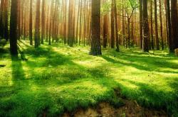 开云体育中国-独奏的基耶萨，当意大利节奏撕裂北欧与北非的防线