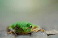 开云下载-西决生死战之夜，在质疑的废墟上，武切维奇亲手重塑命运神殿