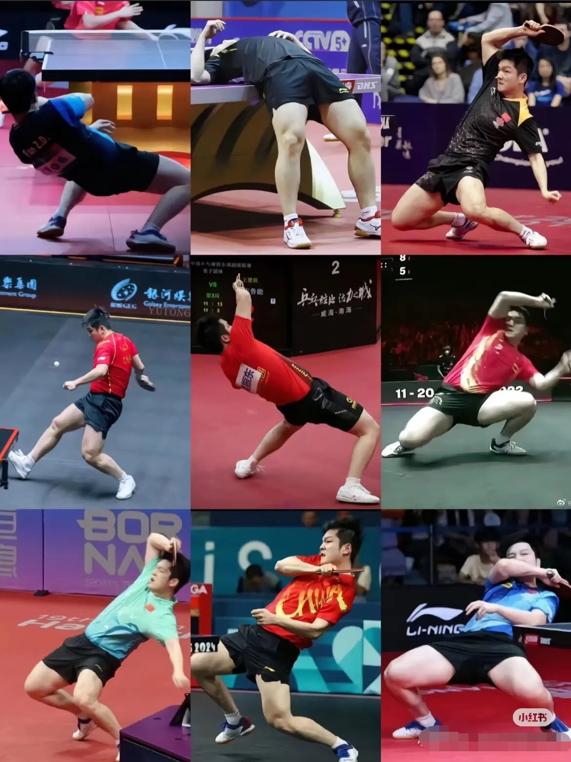 韩国队绝杀法国队，樊振东扛起全队