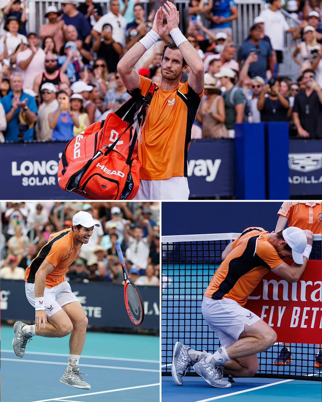 美网鏖战澳网，穆雷统治全场