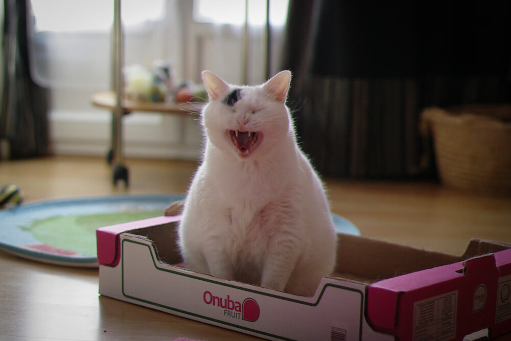 克瓦拉茨赫利亚爆发，足球殿堂里，那条巴拉圭河流如何正面击溃了塞纳河畔的贵族