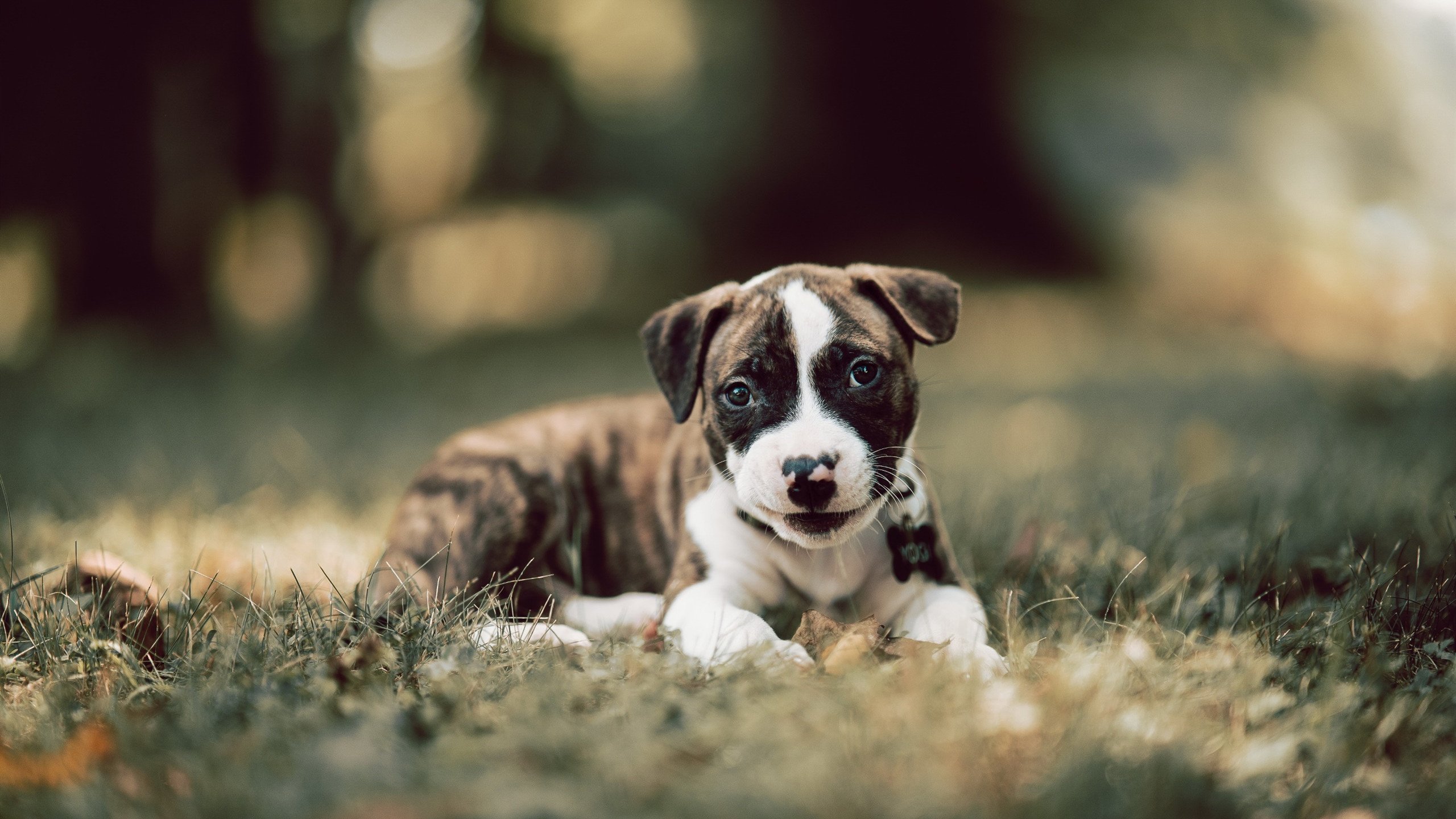 绝境乔治,那颗射穿命运的三分球