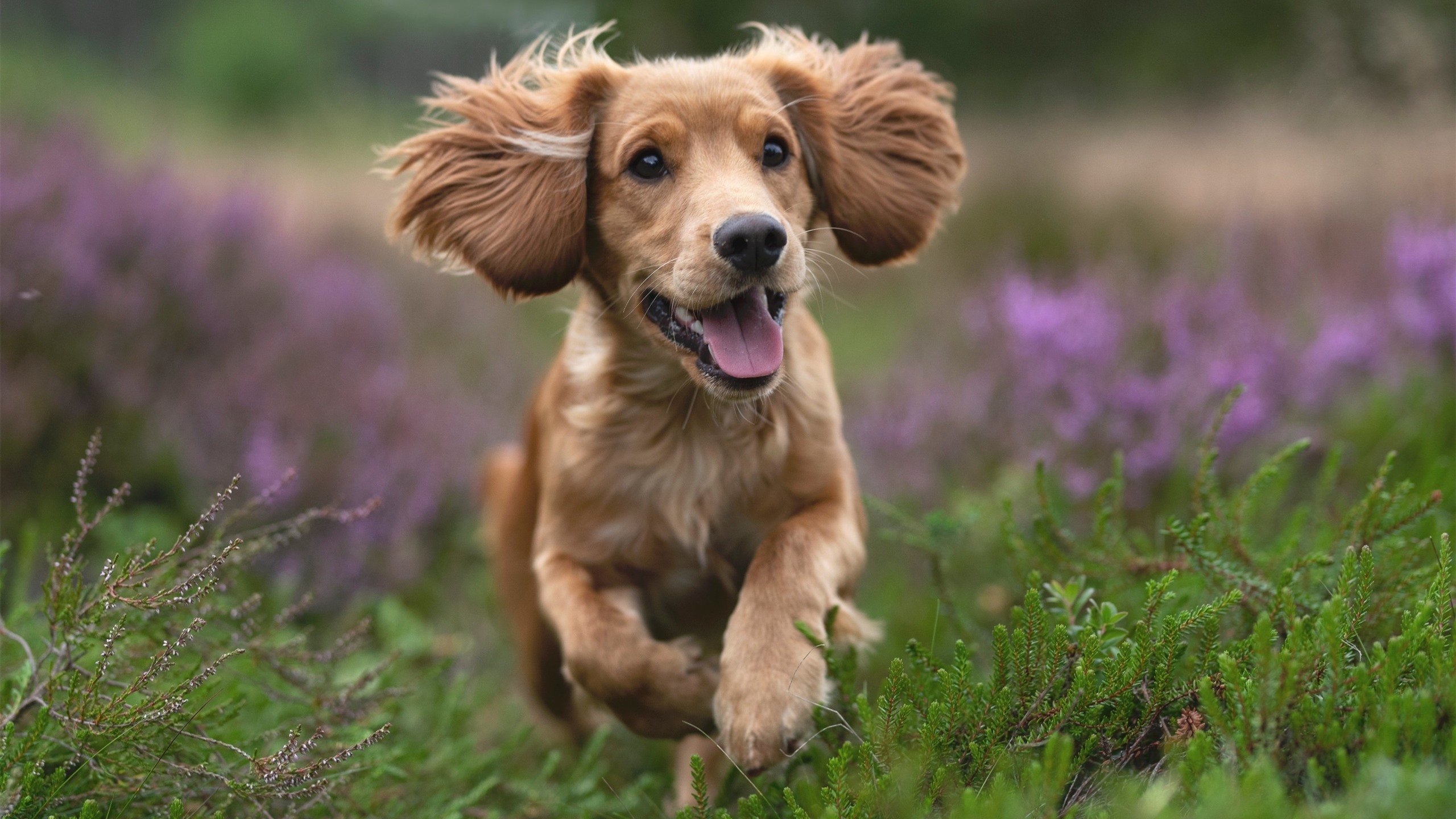 欧冠决赛之夜，乔治末节接管比赛的辉煌时刻