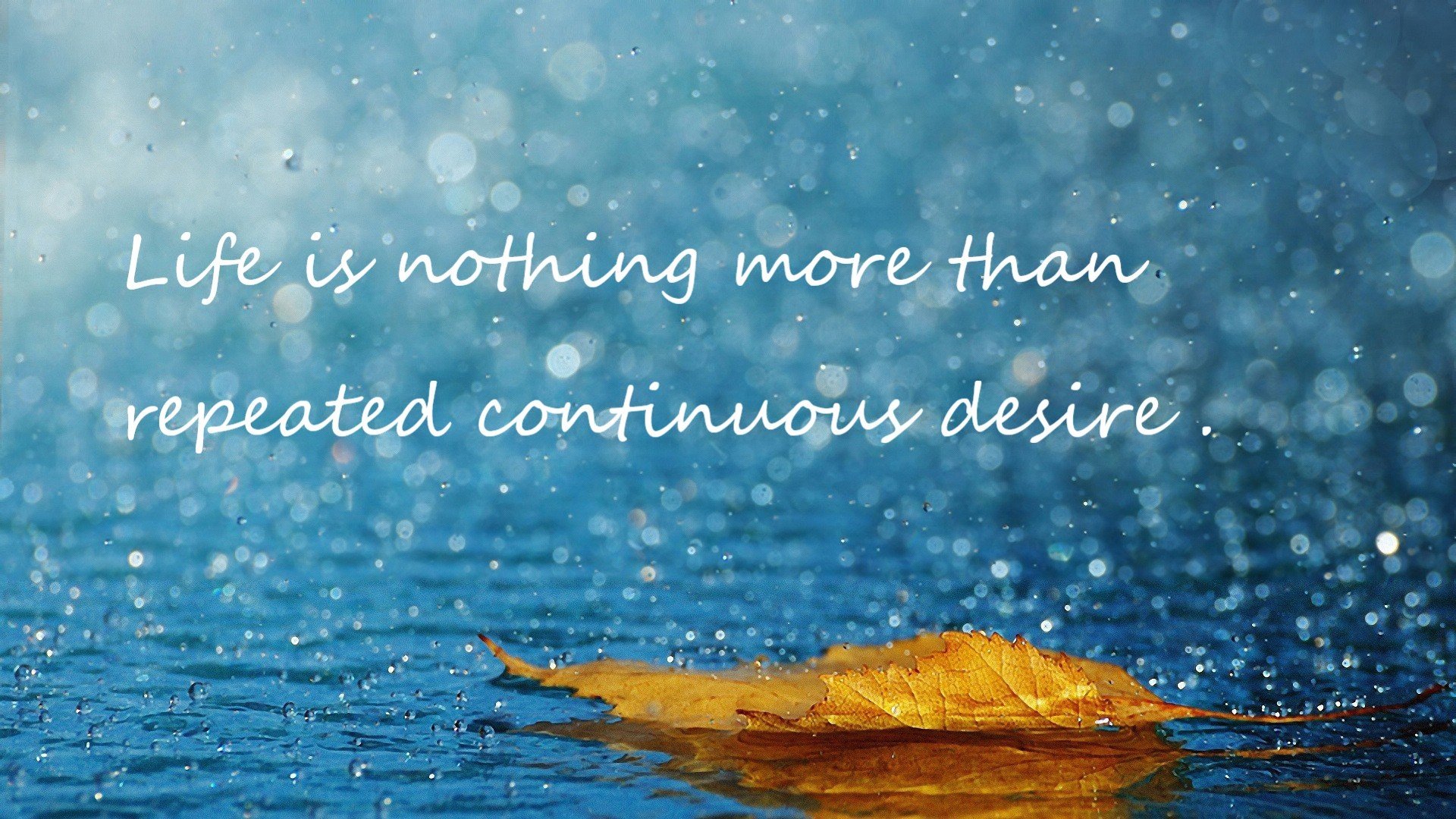 亚洲风暴！穆勒式觉醒撕碎防线，韩国一波流带走委内瑞拉