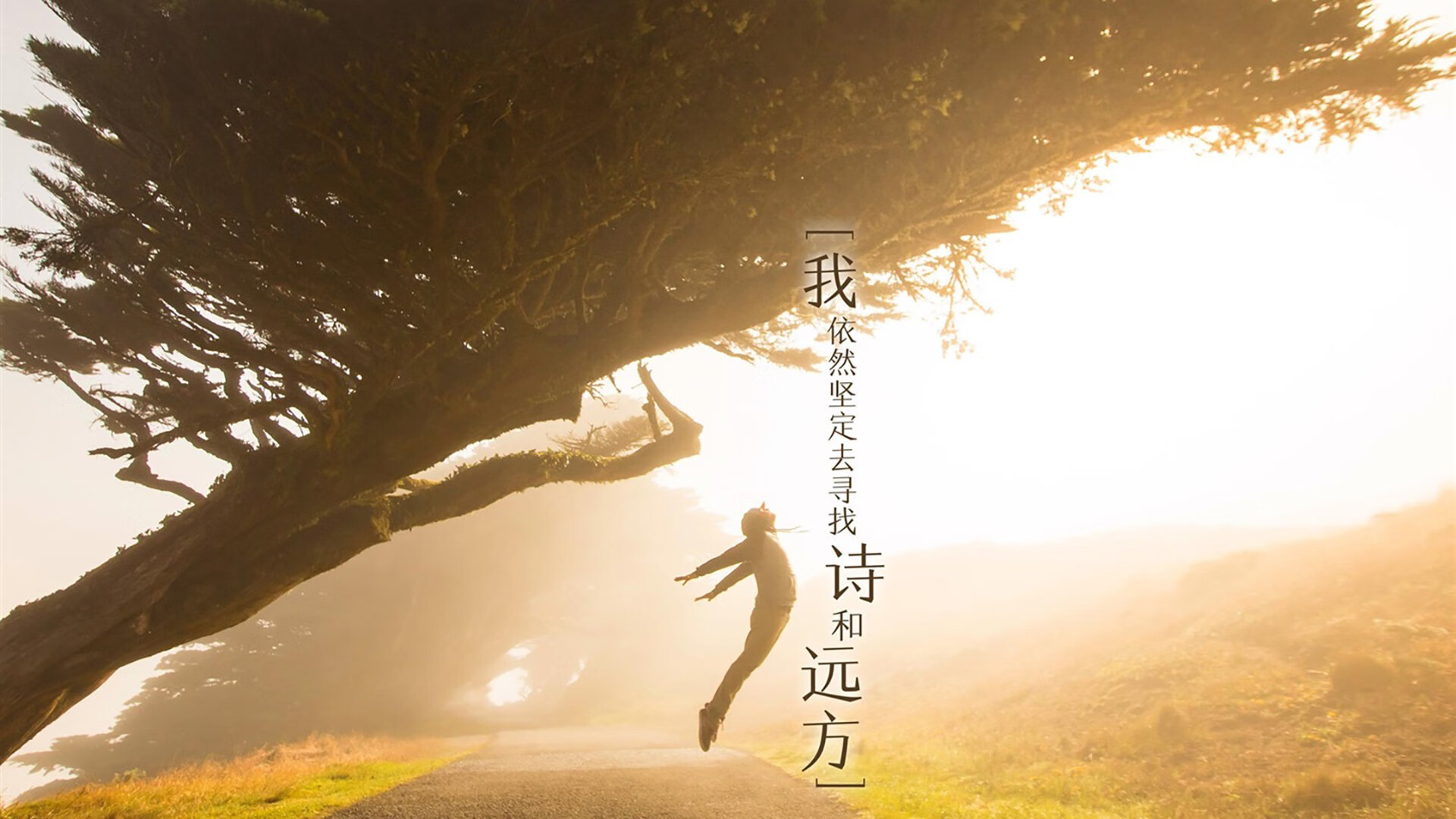 绿茵战火，土耳其激战几内亚，基米希压力淬炼下的华丽绽放