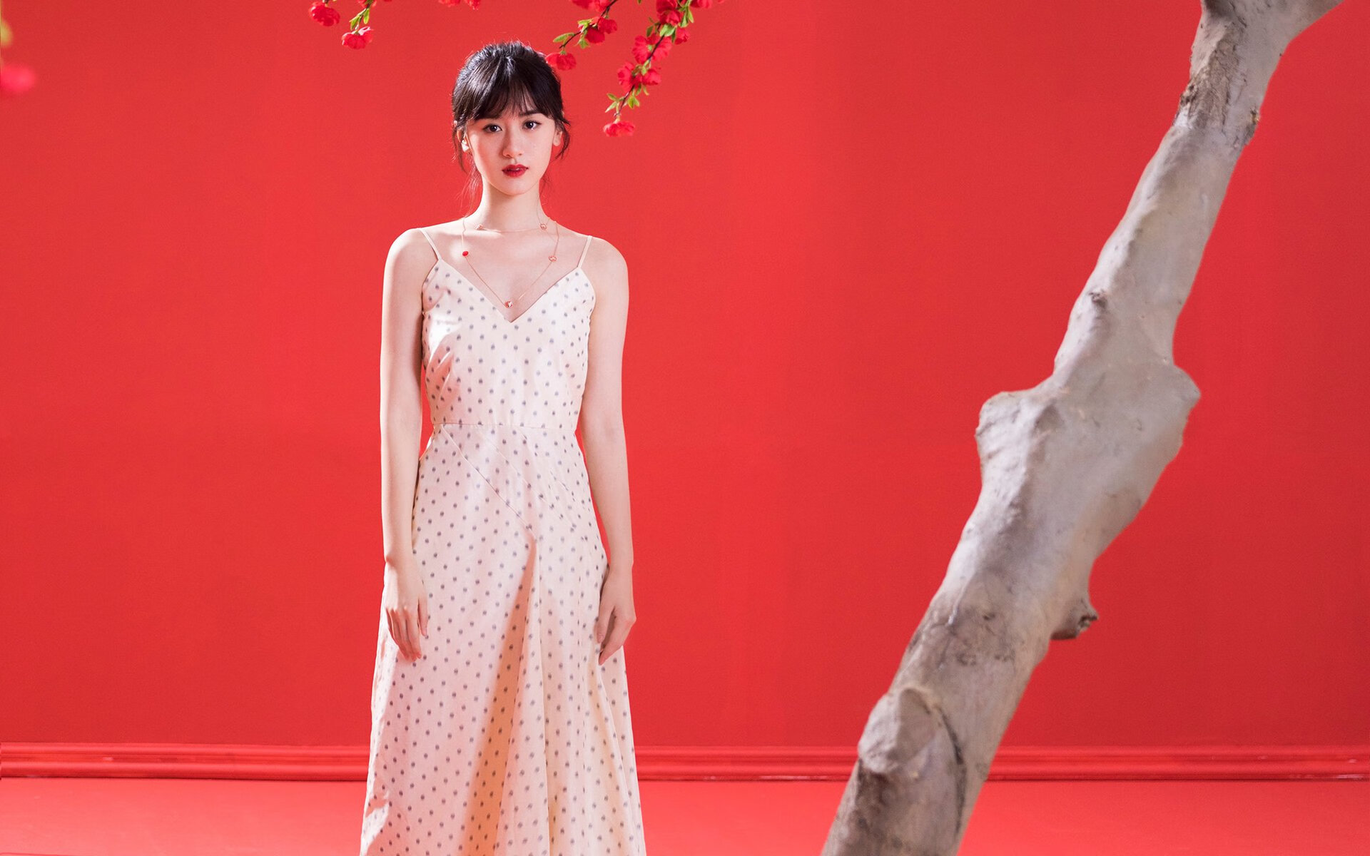 铁翼囚笼，老鹰的防守艺术与拉文的冰与火之歌