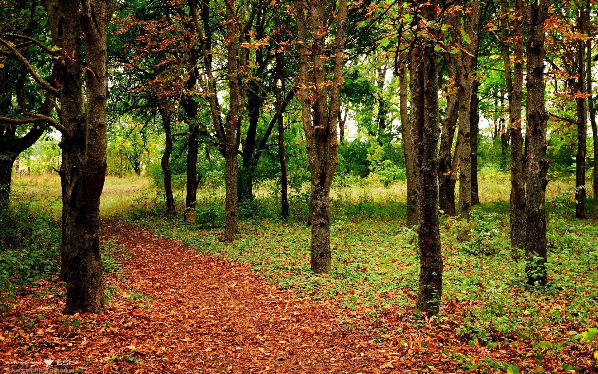 东方曙光与西方壁垒,当库尔图瓦成为那不勒斯的叹息之墙