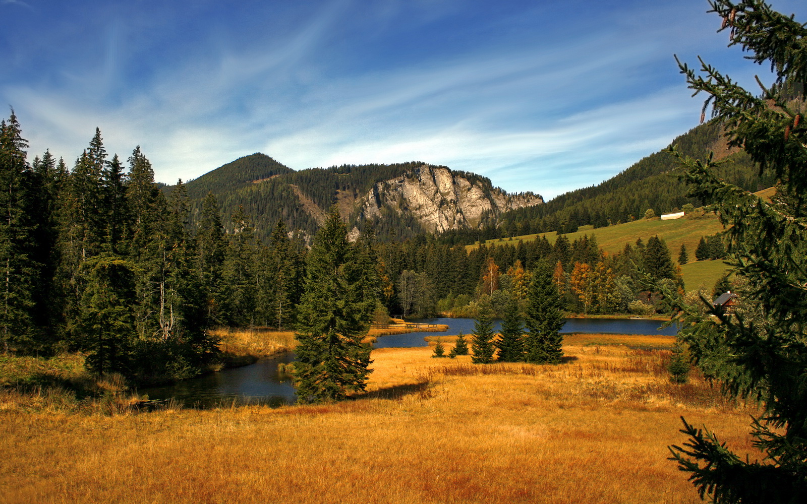 碾压之夜，76人狂扫活塞，爱德华兹数据井喷创纪录