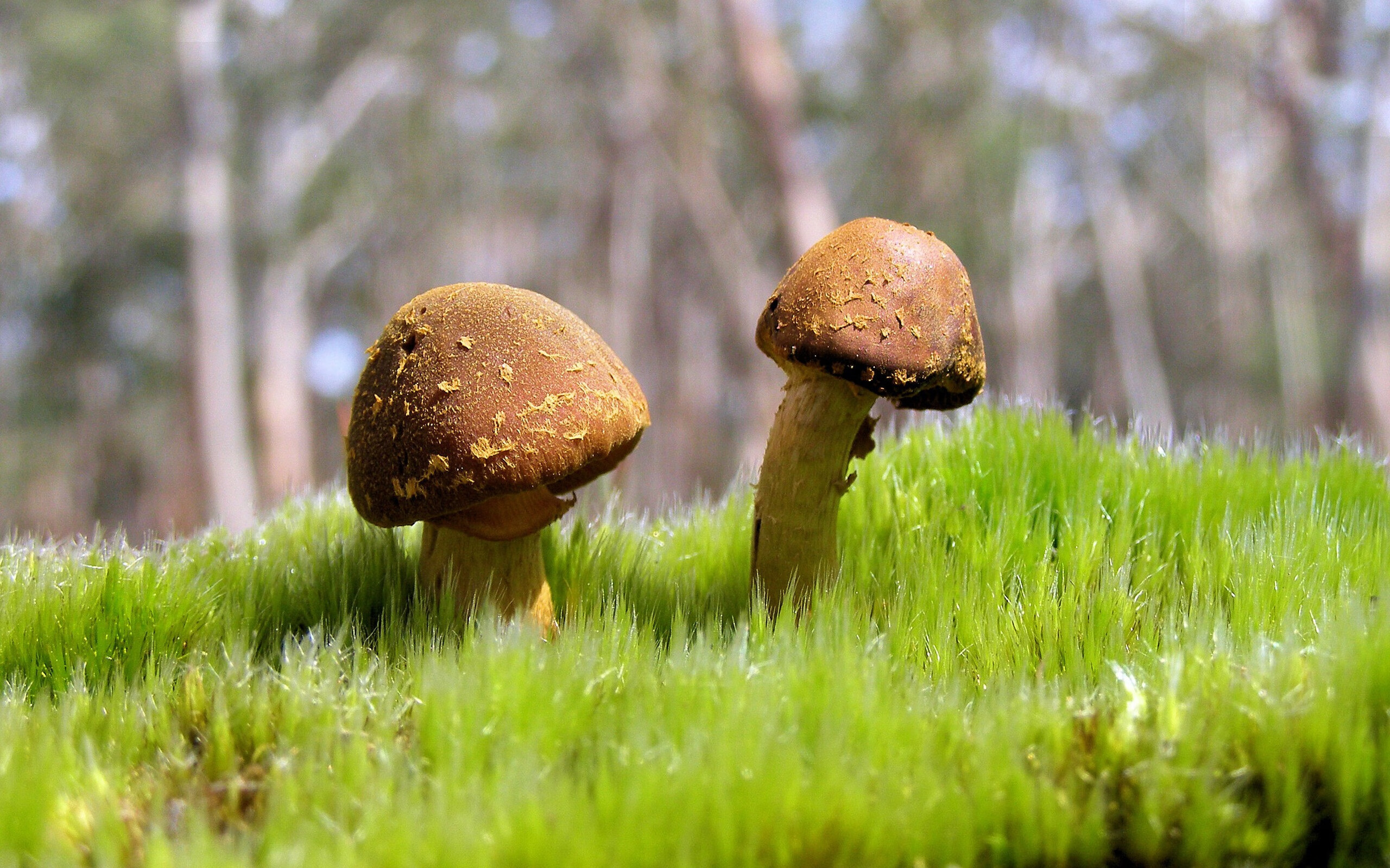 意甲焦点战之夜，巴尔韦德硬仗之王的辉煌证明