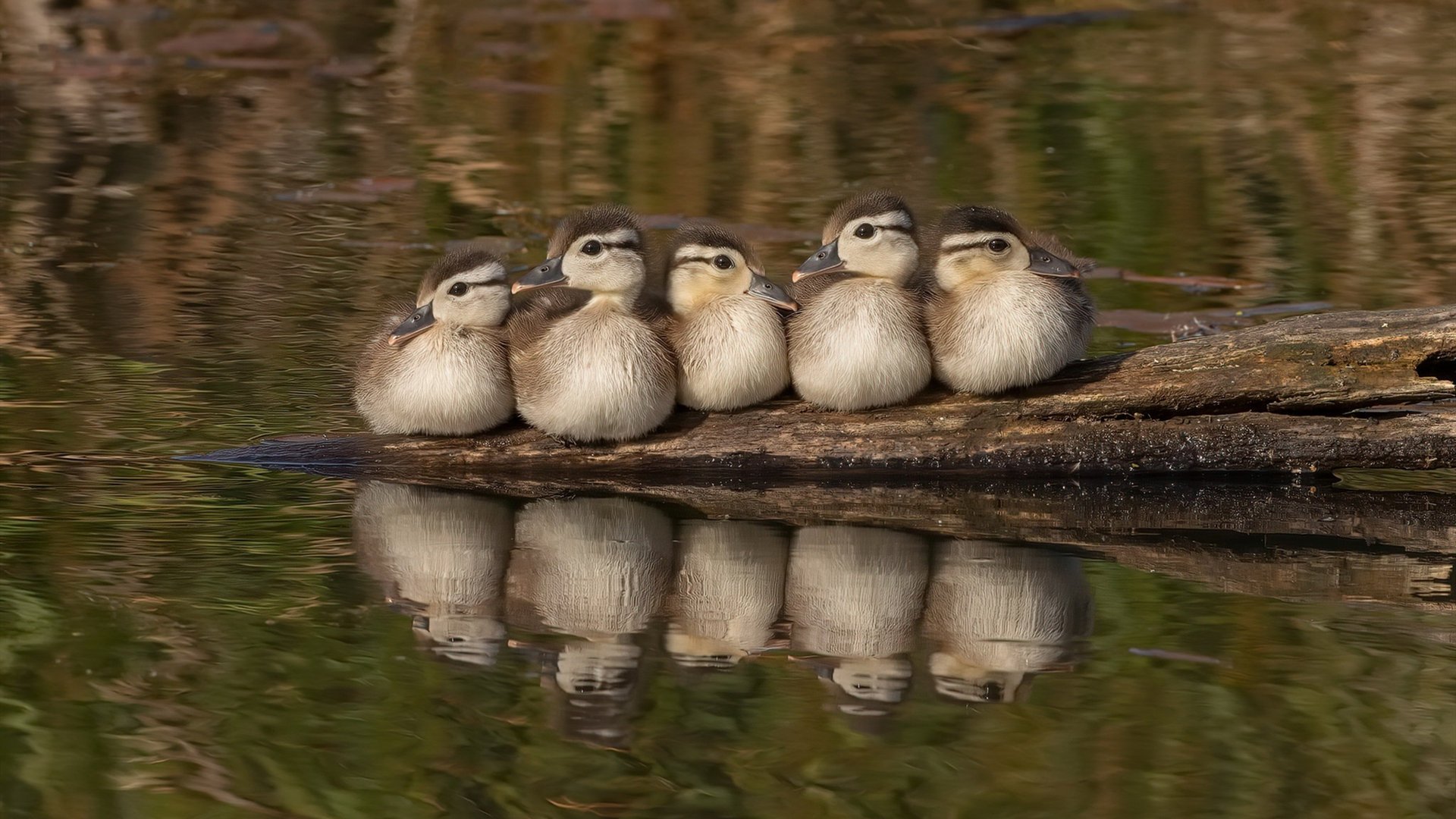 冰霜战士击溃艺术之城，拉亚关键时刻的惊天扑救