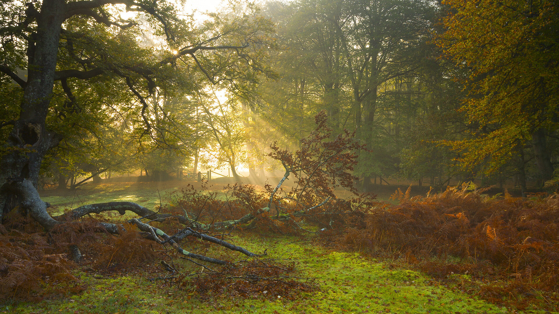 防守的艺术,卡塞米罗在马赛之夜上演教科书级大师课