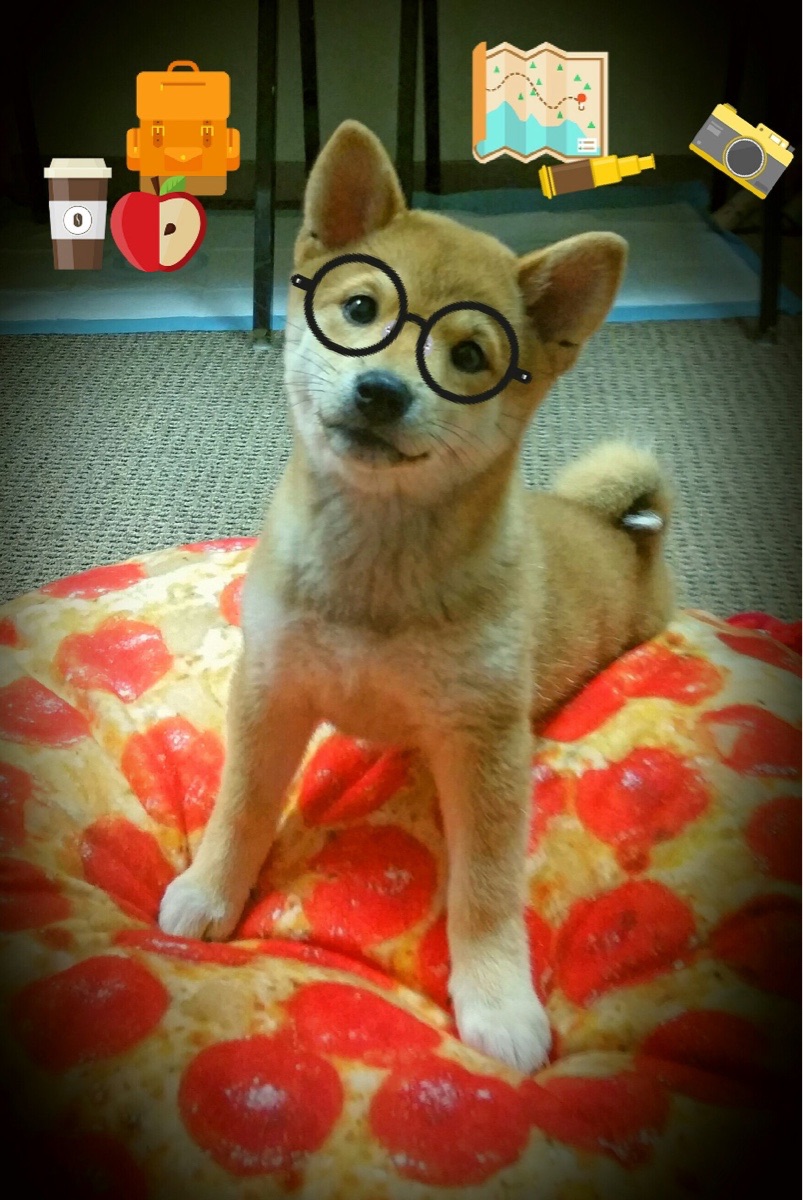 历史性对决，中国力克皇马，阿劳霍闪耀成为关键先生