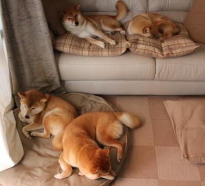 罗德里爆发助荷兰连续得分,高效压制埃及显实力