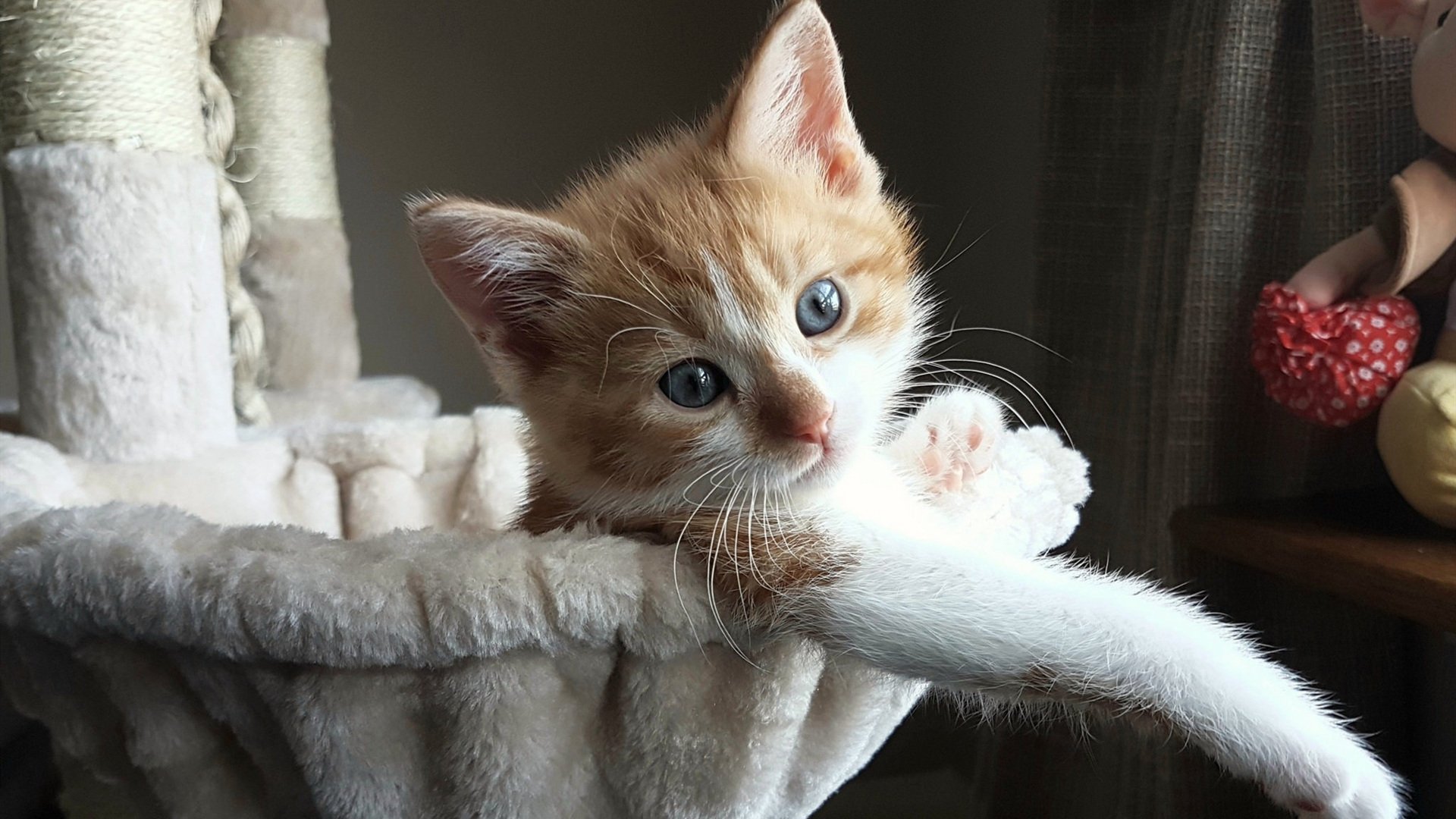 两种焦点,战术的盛宴与碾压的现实